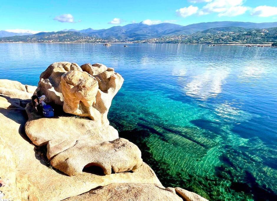 Villa Proche Ajaccio Et Mer Exclusive 2 A 10 Voyageurs Bastelicaccia Eksteriør bilde