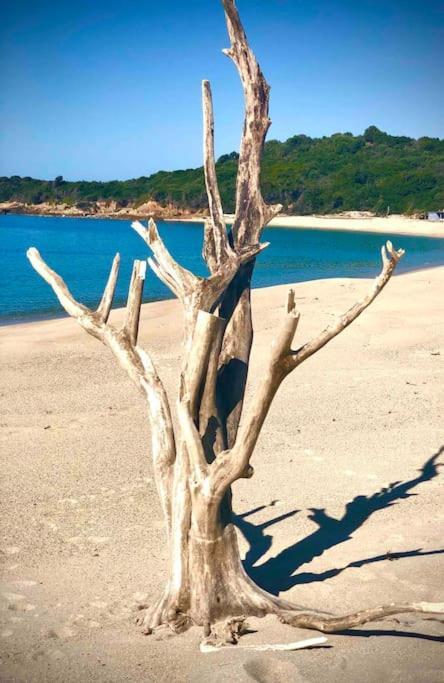Villa Proche Ajaccio Et Mer Exclusive 2 A 10 Voyageurs Bastelicaccia Eksteriør bilde